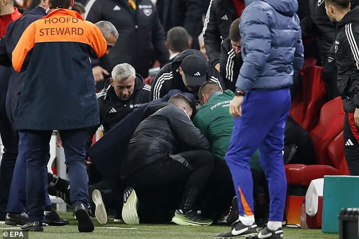 Hungary coach collapses in the dugout during the clash against Netherlands