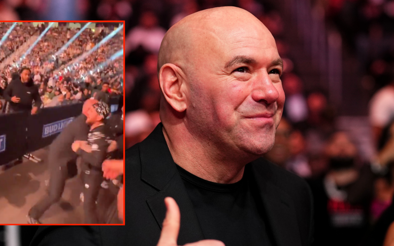 Dana White reacts to ‘Mini Sean Strickland’ Merab Dvalishvili fighting a fan at UFC 310