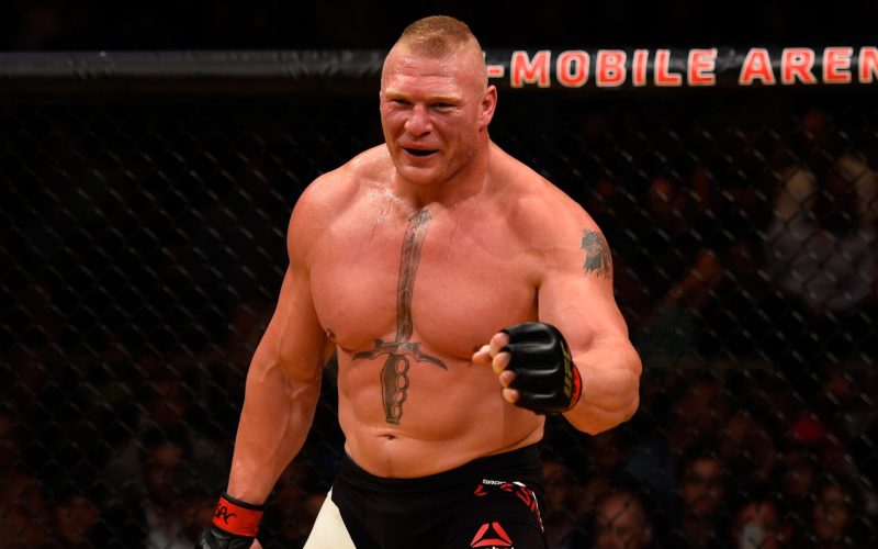 ‘Big human’… Brock Lesnar’s sheer size left opponent in awe before quick knockout win