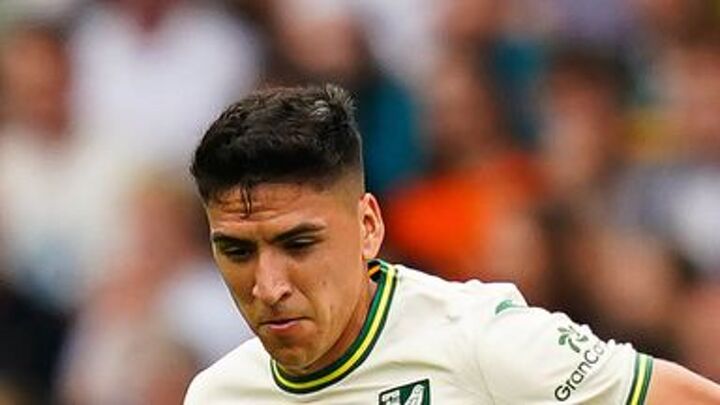 Luton Town 0-1 Norwich City: Marcelino Nunez scores only goal in Canaries win