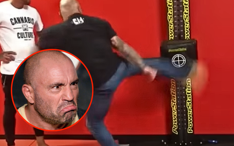 Joe Rogan’s rib-crushing kicks leave UFC fans speechless