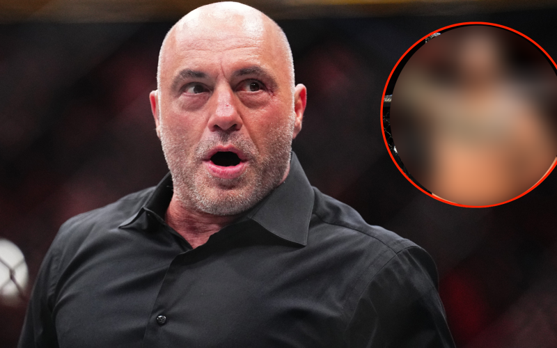 Joe Rogan lists former Brock Lesnar rival as one of the best chins in UFC history