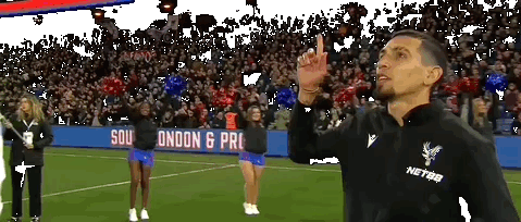 Fulltime Report: Crystal Palace 4-1 Aston Villa