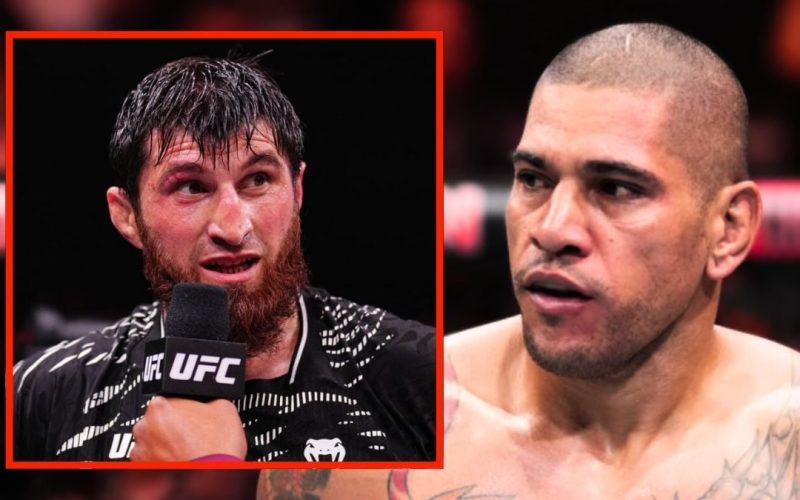 ‘Fake humble boy’ … Magomed Ankalaev slams ‘Tiktok chick’ Alex Pereira in fiery rant following UFC 312