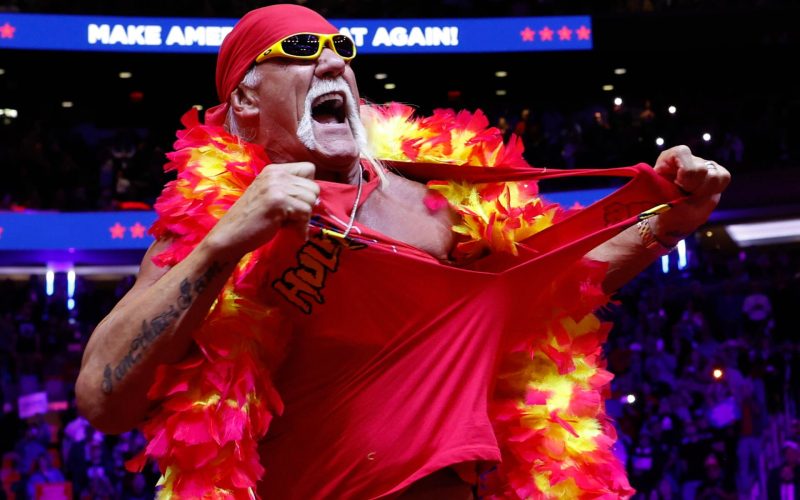 Hulk Hogan branded UFC ‘too violent’ and rejected offer to get involved with MMA during its infancy