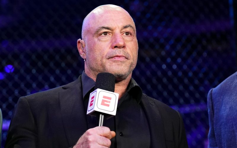 Joe Rogan’s commentary team replacement named ahead of UFC 312