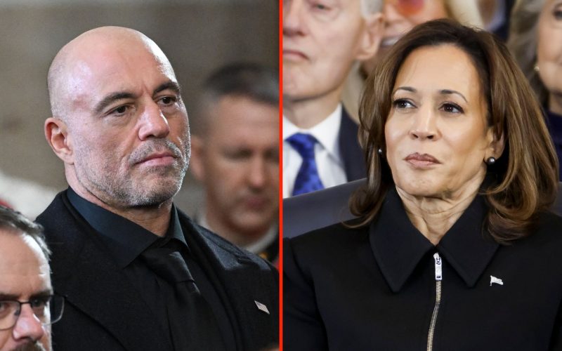 Joe Rogan admits election-defining Kamala Harris interview was derailed by UFC fight companion with Brendan Schaub