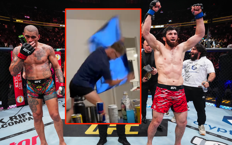 Alex Pereira fan smashes TV in blind rage after Magomed Ankalaev wins world title at UFC 313