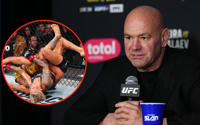 ‘Worst fight in UFC history’… Dana White slammed by retired heavyweight after UFC 313 snoozefest